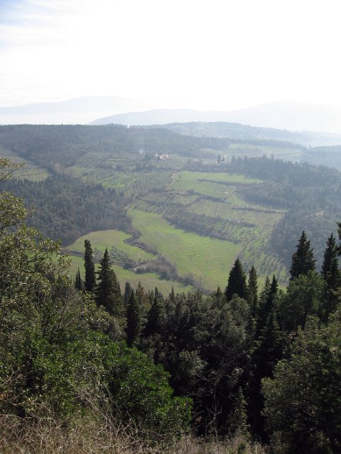 Fiesole - Parco di Montececeri-17.JPG